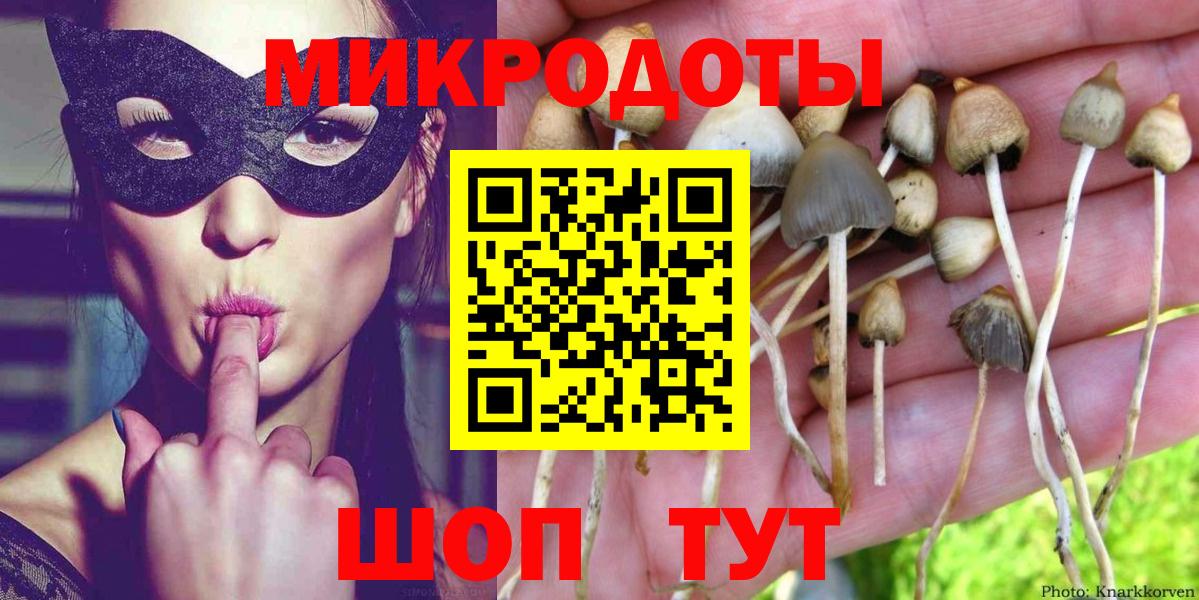 Галлюциногенные грибы Psilocybe  Вход с VPN  продажа наркотиков  Салехард 