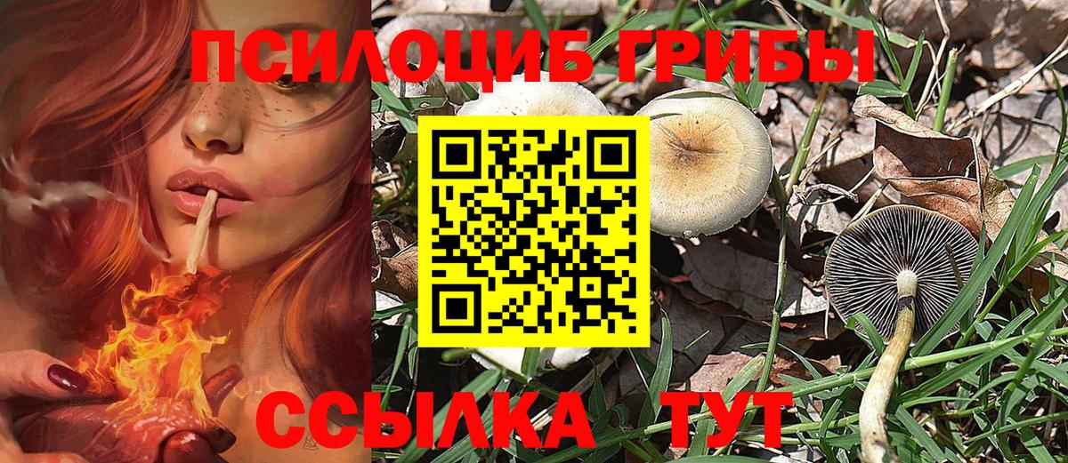 Псилоцибиновые грибы мухоморы Салехард